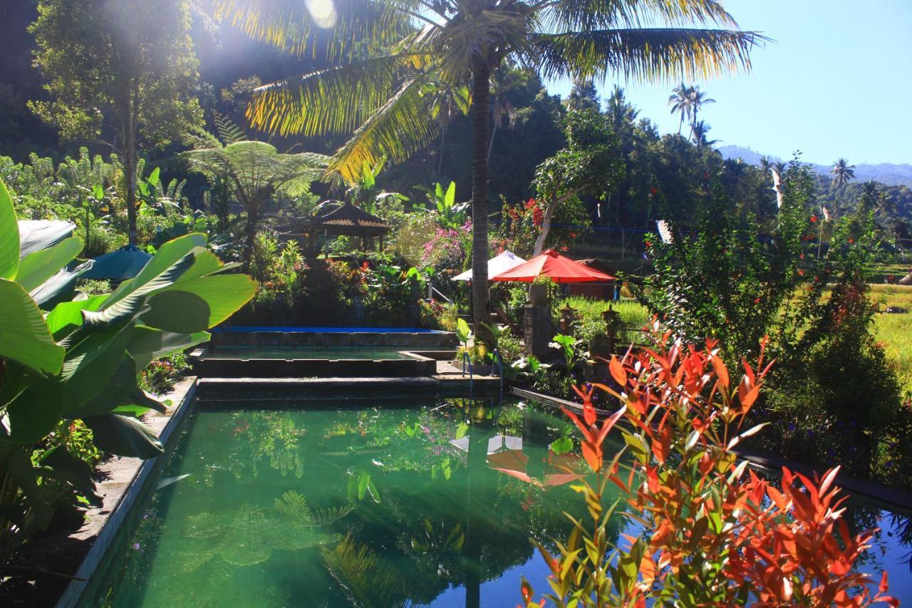 Amartya Puri Green Cottages Munduk  Luaran gambar