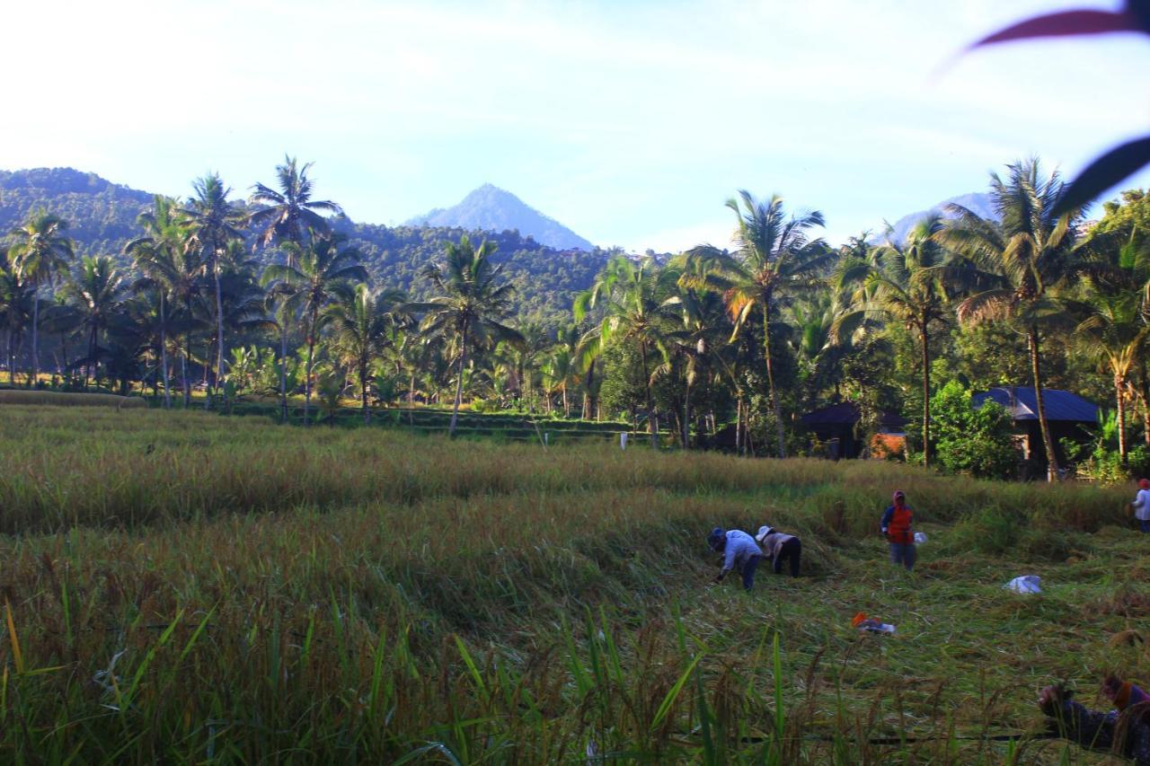 Amartya Puri Green Cottages Munduk  Luaran gambar