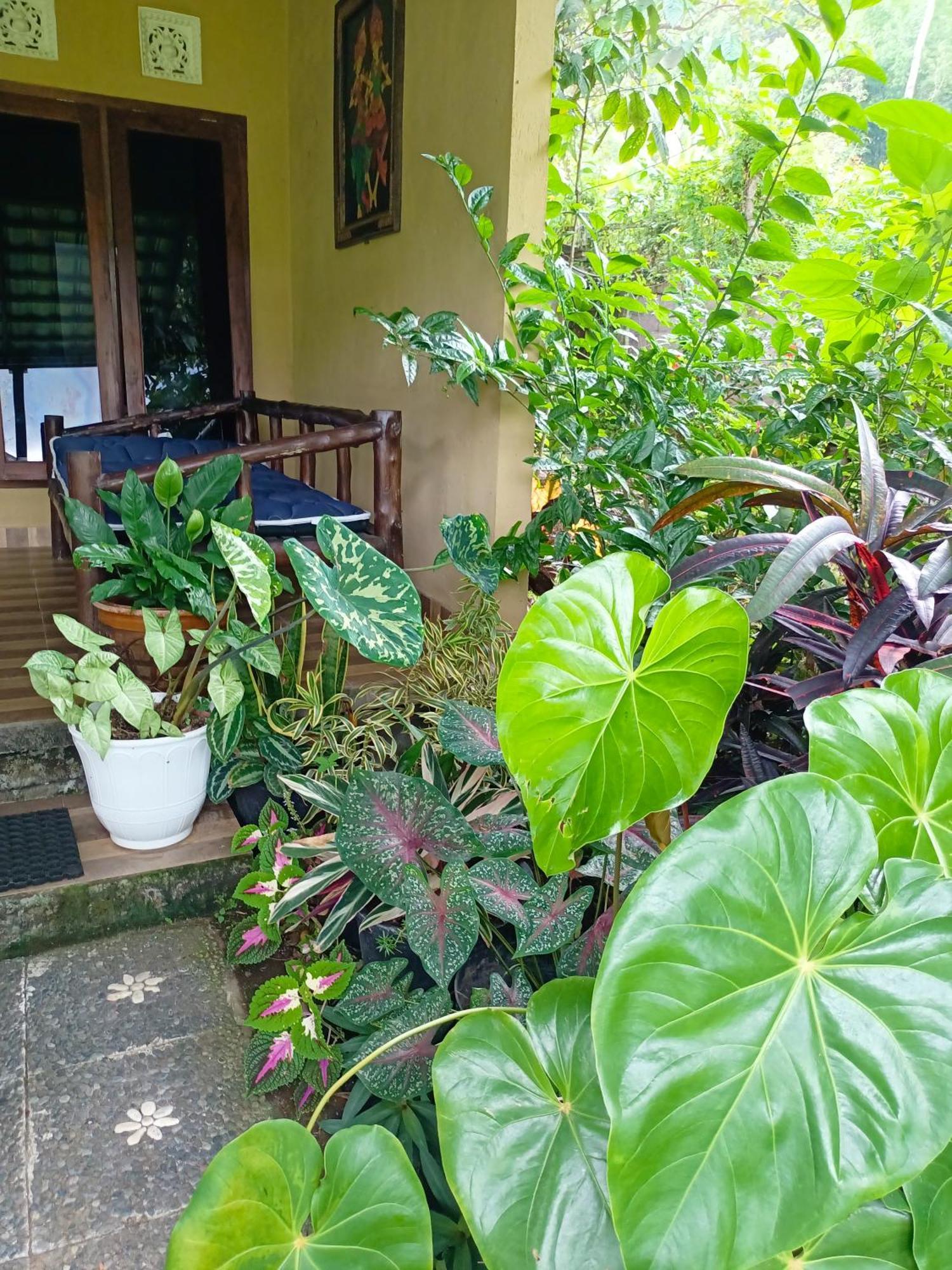 Amartya Puri Green Cottages Munduk  Luaran gambar