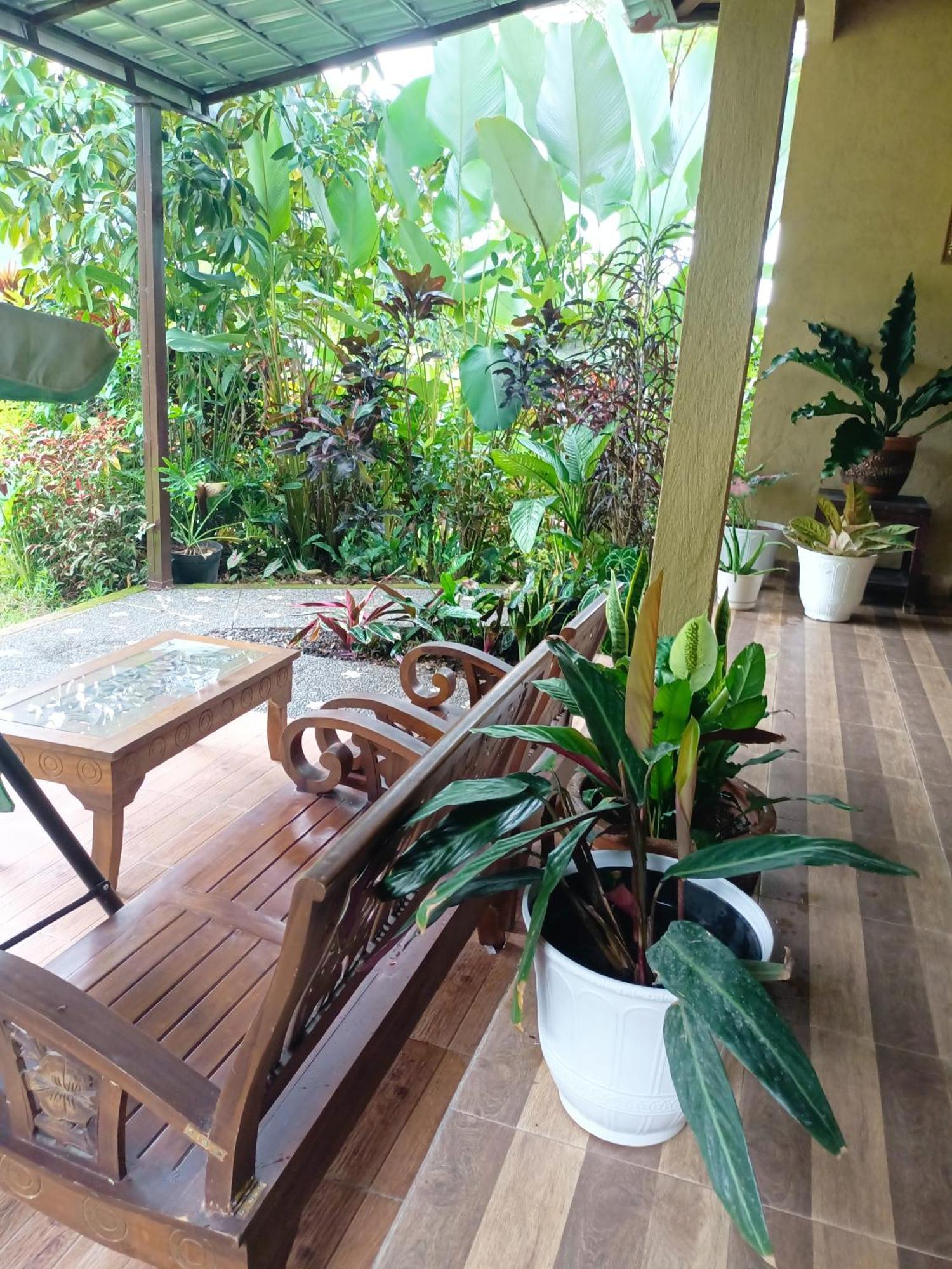 Amartya Puri Green Cottages Munduk  Luaran gambar