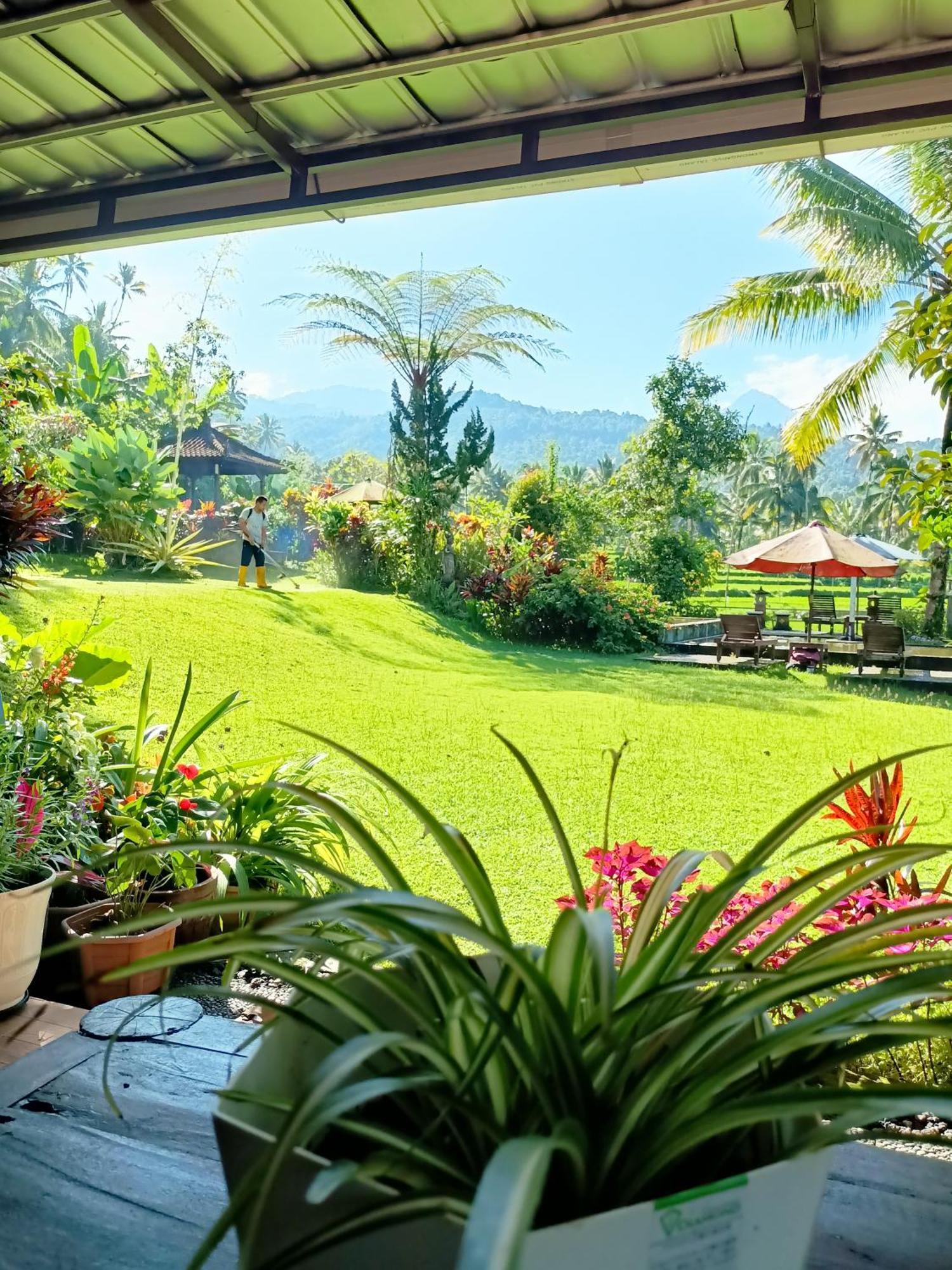 Amartya Puri Green Cottages Munduk  Luaran gambar