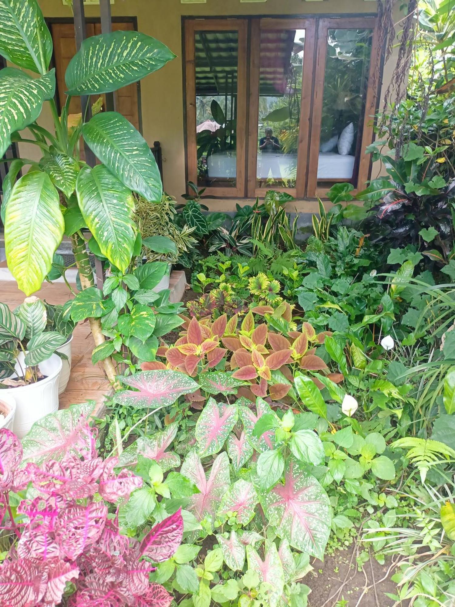 Amartya Puri Green Cottages Munduk  Luaran gambar