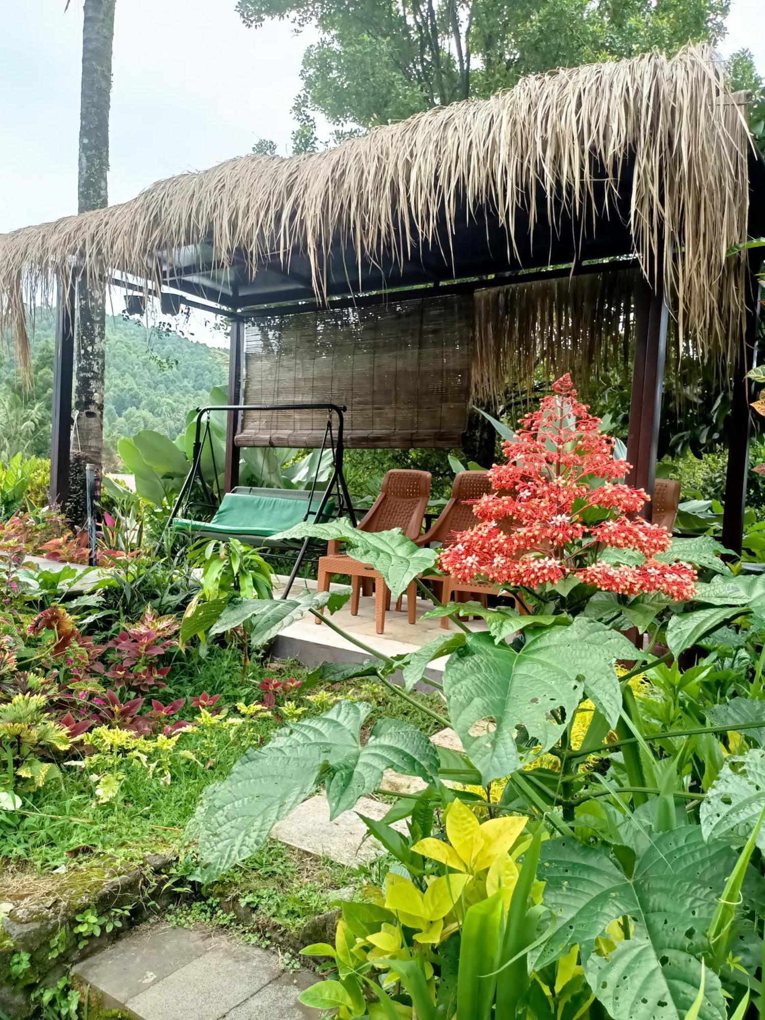 Amartya Puri Green Cottages Munduk  Luaran gambar