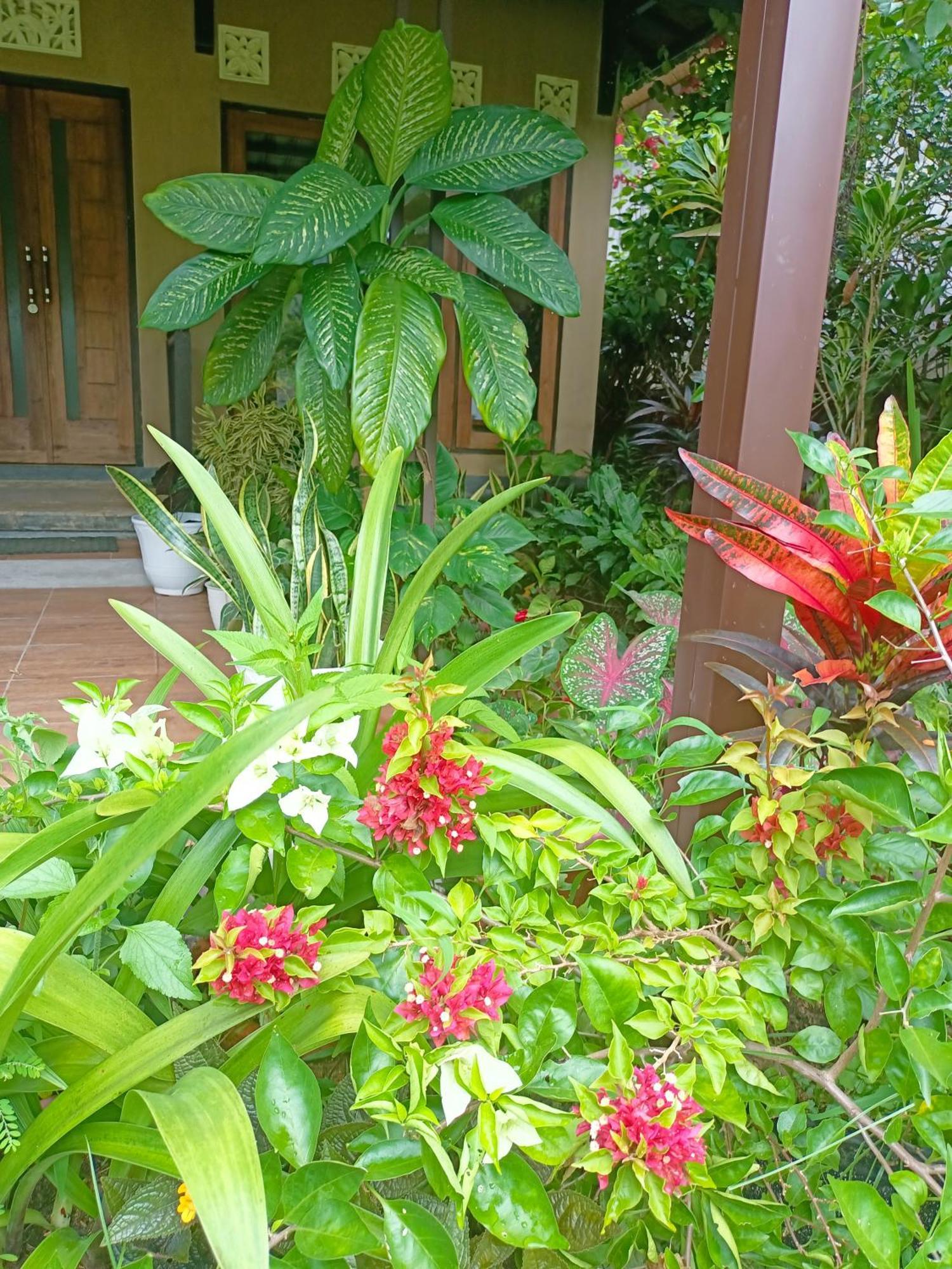 Amartya Puri Green Cottages Munduk  Luaran gambar