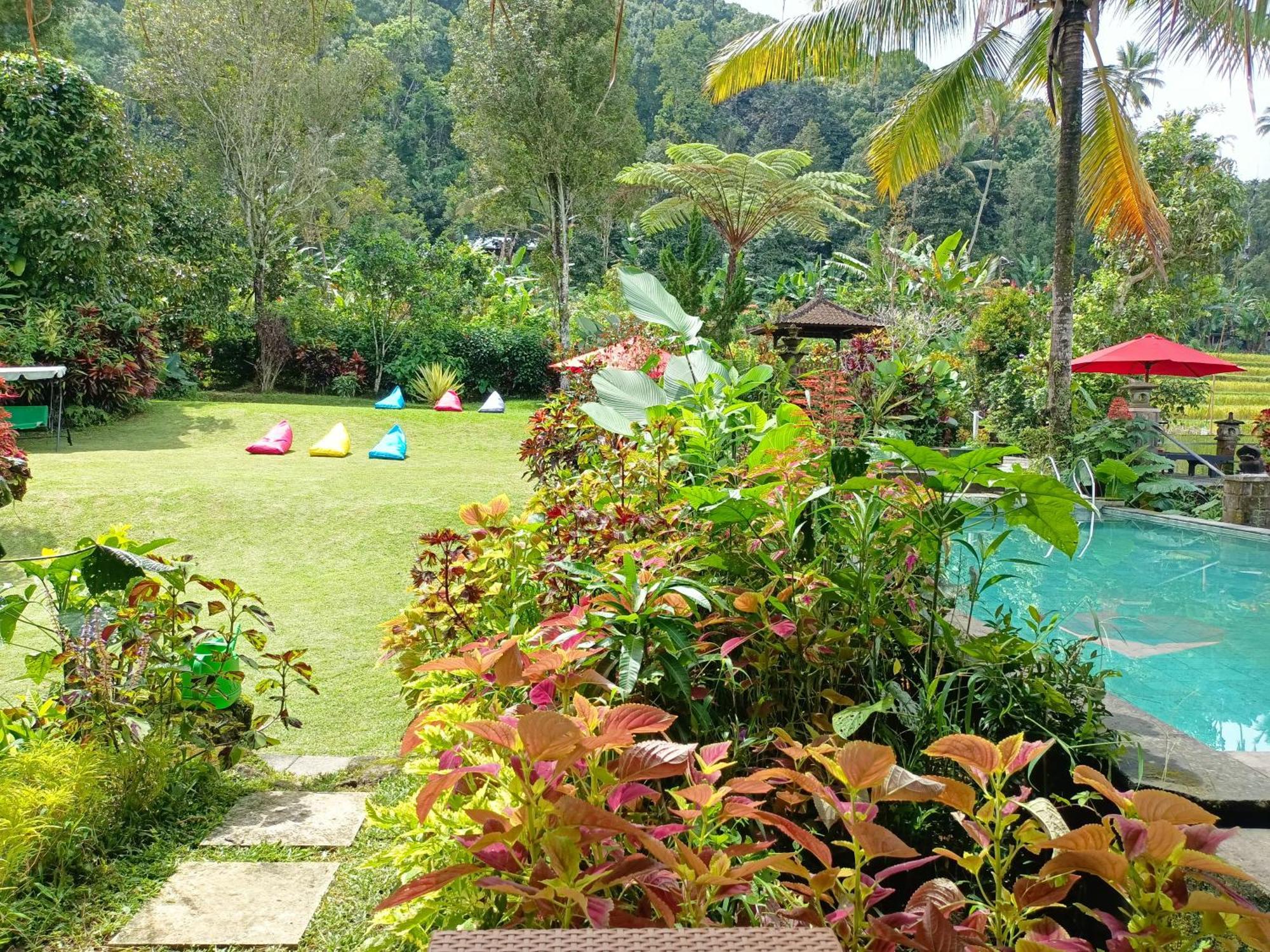Amartya Puri Green Cottages Munduk  Luaran gambar